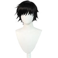 Wholesale Jujutsu Kaisen Anime Cosplay 35cm Short Black Bobo MSN Fushiguro Toji Wig Synthetic Halloween Party Hair Wig